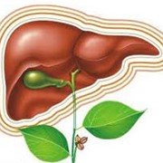 Очистка печени