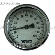 Термометры биметаллические Watts фото