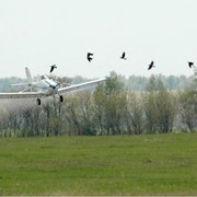 Авиационный сельскохозяйственный самолет фото