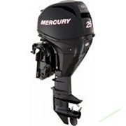 Подвесной лодочный мотор MERCURY ME F30 ML GA EFI фото