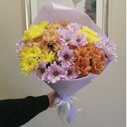 25 ромашковых хризантем фото