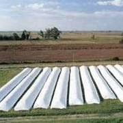 Зерновые мешки, рукава для хранения зерна, полиэтиленовые зернохранилища 2,75м * 60м фото