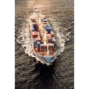 Морские контейнерные перевозки от компании KST фото