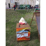 Аттракционы парковые Брилиантовая рука доставка по Казахстану фото