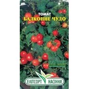 Семена томата Балконное чудо 0,1 г