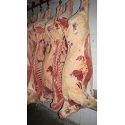 Мясо-говядина 1 категории замороженное в полутушах (коровы) фото
