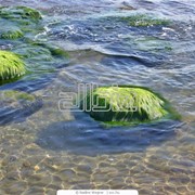 Туры в Черногорию фото