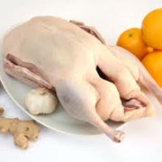 Мясо птицы (курица, индюк, утка) фото