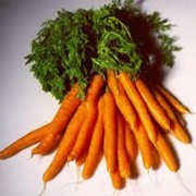 Морковь продажа, опт фотография