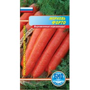Семена Морковь Форто (2гр) фотография