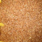 Семена товарного льна, Лён товарный купить в Костанае фото