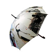 Зонты фотография