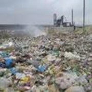 Вывоз твердых бытовых отходов из частного сектора