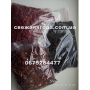 Порошок сушеная ежевика сорта Tripl Crown фото