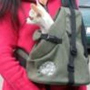 Сумка-рюкзак для переноски собак мелких пород ( до 5 кг) фото
