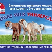 Заменитель цельного молока для ягнят и козлят Logas Milk универсал с 3-го дня жизни фото