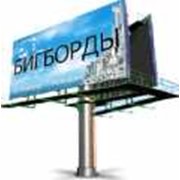 Наружная реклама на иллюминированных щитах,Одесса. фото