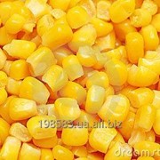 Кукуруза замороженная в зёрнах фото