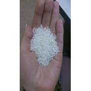 Приморский рис,1 сорт фото