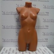 Торс женский объемный целый (Sveta, Alisa), А107/Т-411 фото