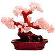 Бонсай дерево счастья из камня розовый кварц, 9 ветвей