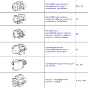 Одноступенчатые насосы фото