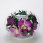Орхидея в стекле CAs-o1