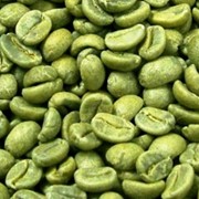 Кофе зеленый Arabica Brazil Santos Grinder ss GC scr.13 UP 59 kg фото