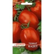 Рассада томат сорт Кадет фото