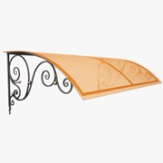 Козырьки навесы, кованый козырёк фото