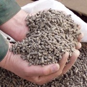 Высококачественный комбикорм фото