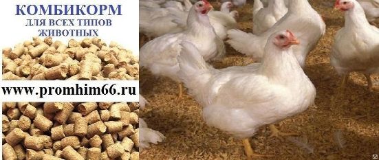 Комбикорма Для Кур Купить В Уфе