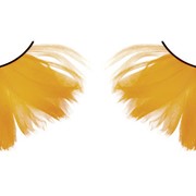 Ресницы оранжевые перья BL601