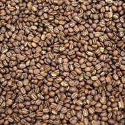 Кофе в зернах свежей обжарки CoffeeHot™ фото