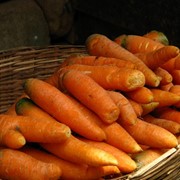 Морковь, продажа, Украина