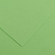 Бумага цветная Canson Iris Vivaldi, 240 гр/м2, 50 x 65 см Зеленое яблоко фотография