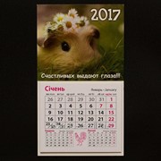 Календарь - Магнит 2017 / Морская Свинка x01015
