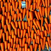 Морковь Абако