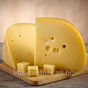 Сыр твердый фото