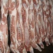Свиные полутуши обрезные