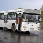 Автобус МАРЗ-52661, городской автобус, пассажирский автобус фото