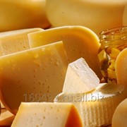 Сыр обезжиренный ГОСТ Р 54663-2011