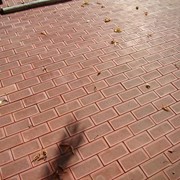 Укладка тротуарной плитки брусчатки фото