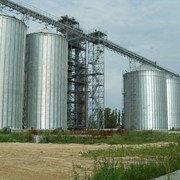 Хранение зерна на элеваторах Николаевская область