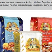 Мука из твердых сортов пшеницы Antico Molino Caputo( Италия) оптом и в розницу для производства пицы, пасты, макаронных изделий, выпечки фото