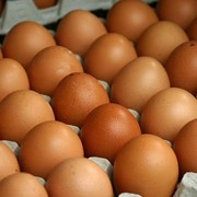 Яйца куриныеС-1 фото