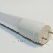 Светодиодная лампа трубчатая L-600-6400-13 T8 9Вт 6400K G13 фотография