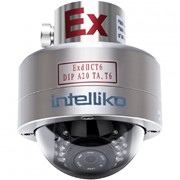Взрывозащищённая купольная видеокамера INT-EXDC10A-01