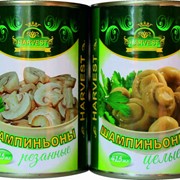 Шампиньоны консервированные