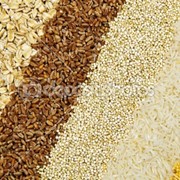 Выращивание и продажа зерна